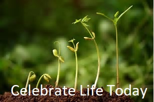 Celebrate Life Today